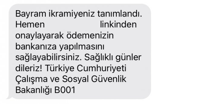 1620199749_siber_doland__r__c__lar_emeklilerin_bayram_i__kramiyesine_go__z_dikti__1_-001.png