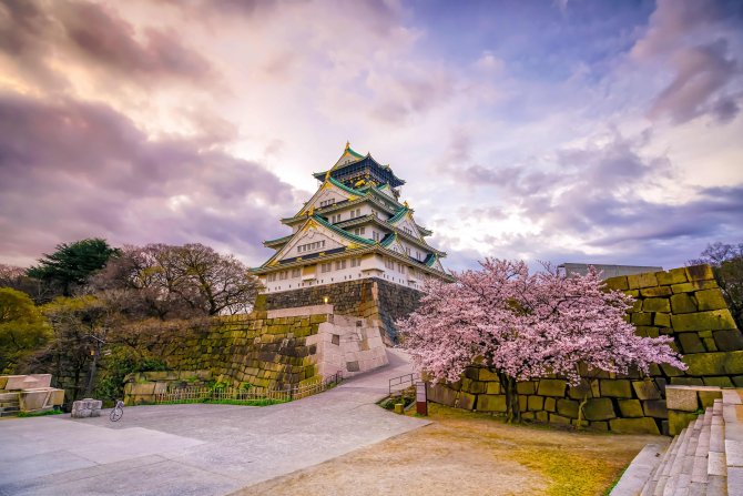 1787906545-japonya-da-sakura-i-eklerinin-t-m-ihti-am-yla-a-t-osaka-kalesi.jpg