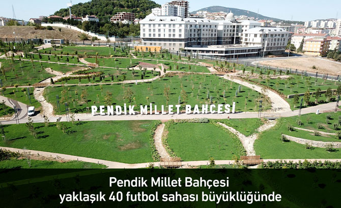 5f509ac9d8c66_1.jpg