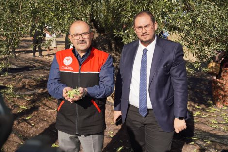 valiismailmustafakurlek.jpg